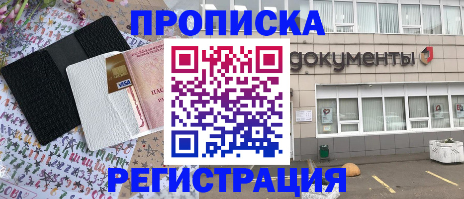 где прописаться в Камышине